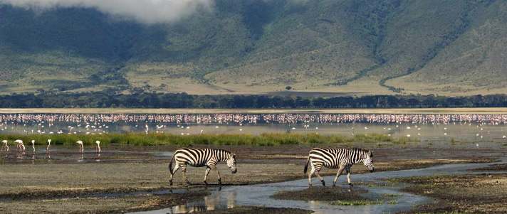 ngorongoro crater