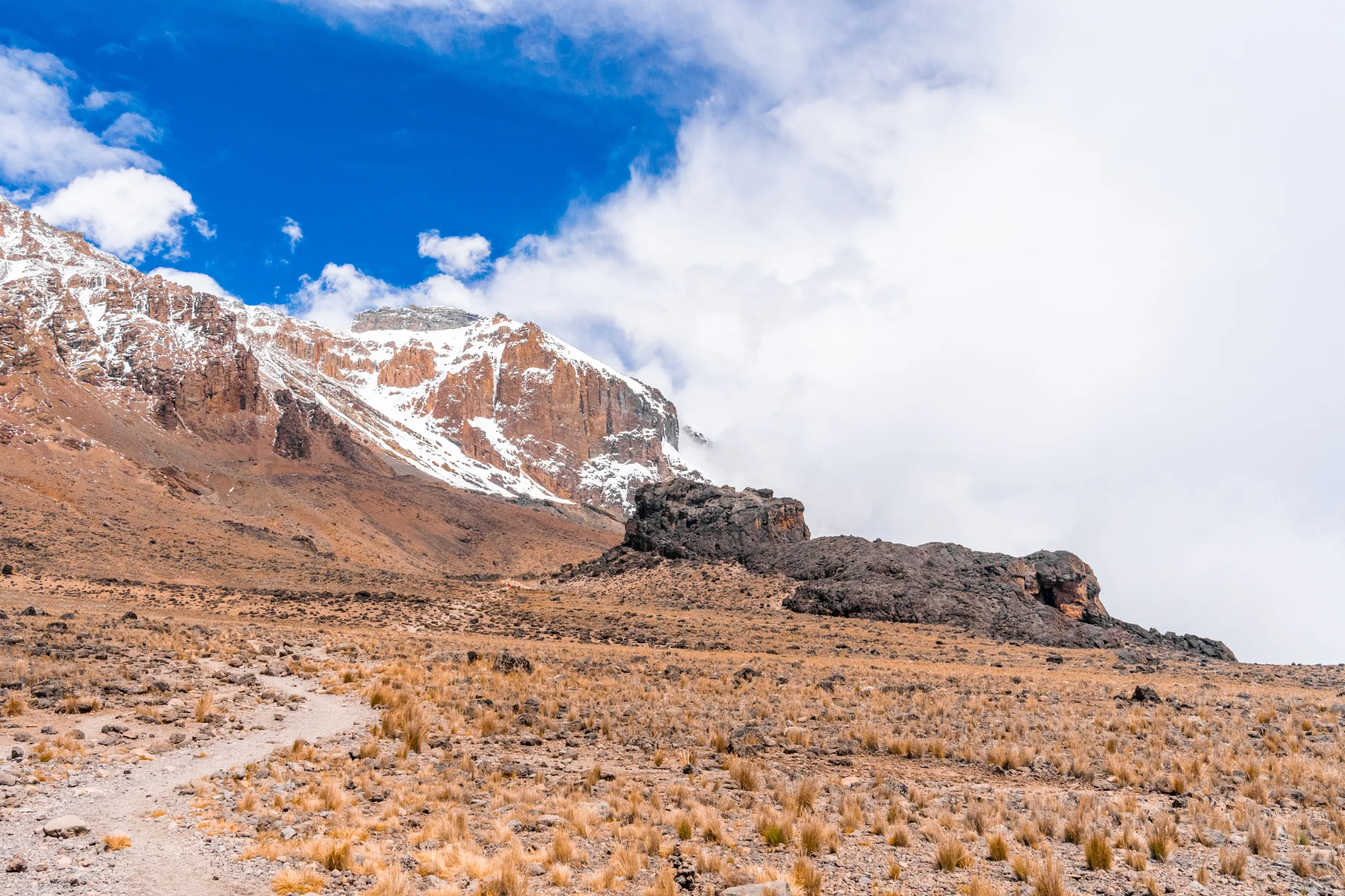 kilimanjaro trekking tour